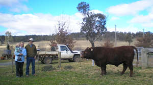 Rodney & Narelle Watson Enmore Via Uralla NSW